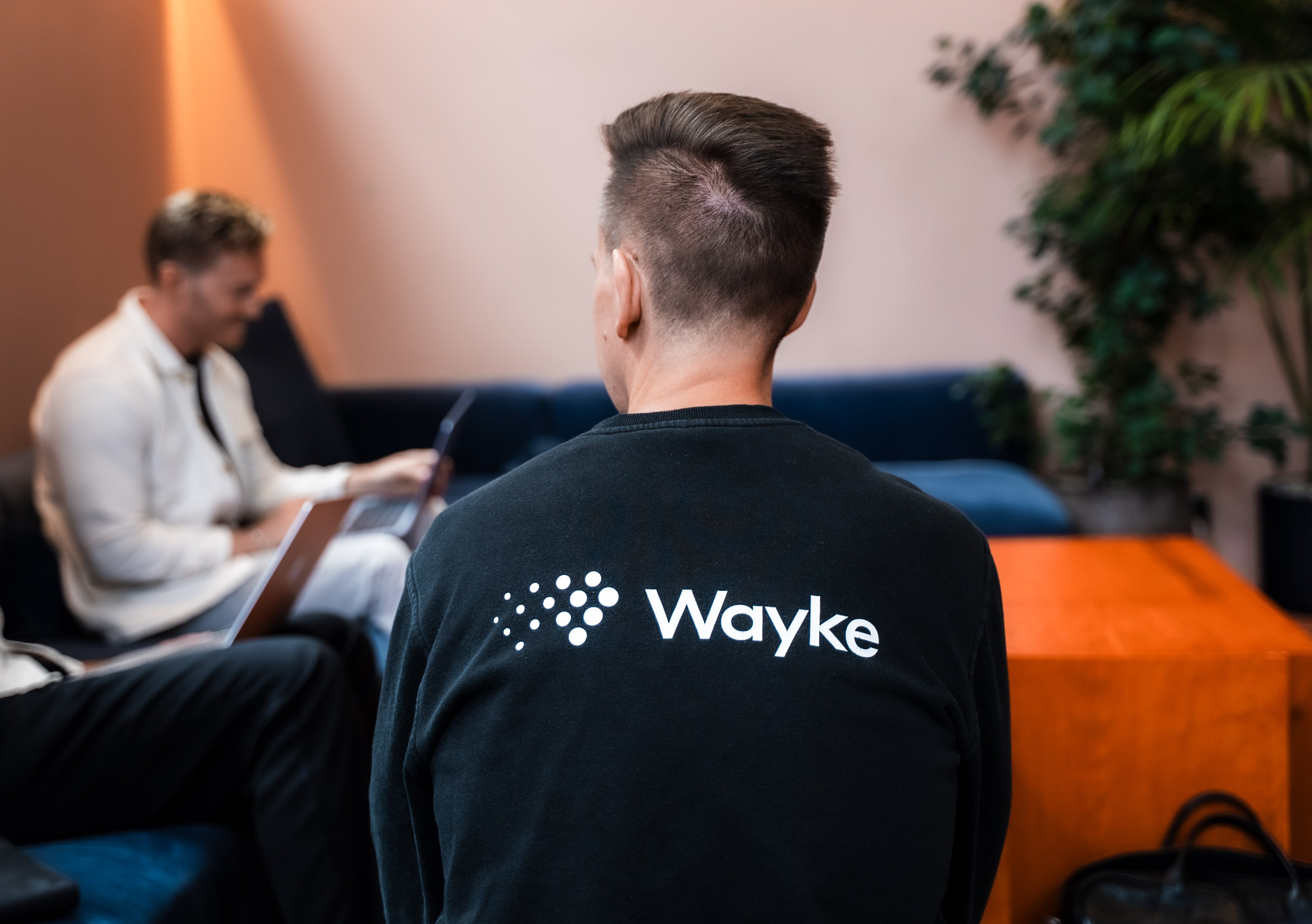 wayke work-9
